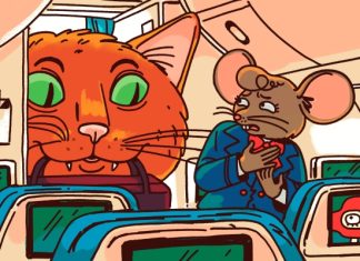 9 причин, почему путешественника могут не пустить в самолёт