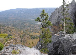 Назван топ-5 альтернатив Золотому кольцу России для осенних поездок