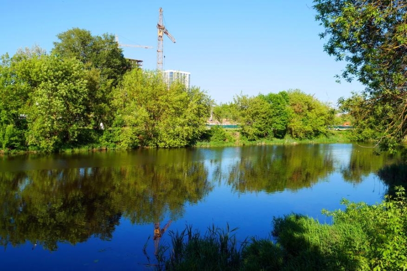 Обзор отеля «Шереметев Парк Отель» в городе Иваново