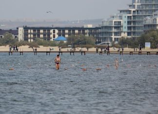 В АСИ рассказали, когда заработает семейный курорт «Новая Анапа»