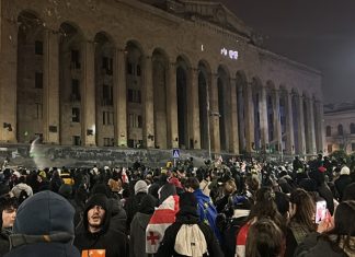 Туроператоры сообщили о падении спроса на поездки в Грузию из-за протестов