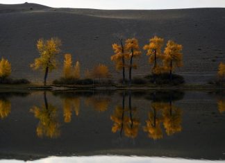 Более 2,7 млн туристов посетили республику Алтай в 2024 году