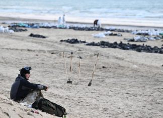 Сбор турналога в Анапе приостановили до конца года