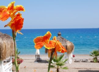 В АТОР рассказали, как прошли майские праздники для российских туристов