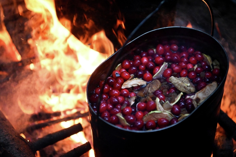 Где вкусно поесть: гид по лучшим гастрофестивалям лета