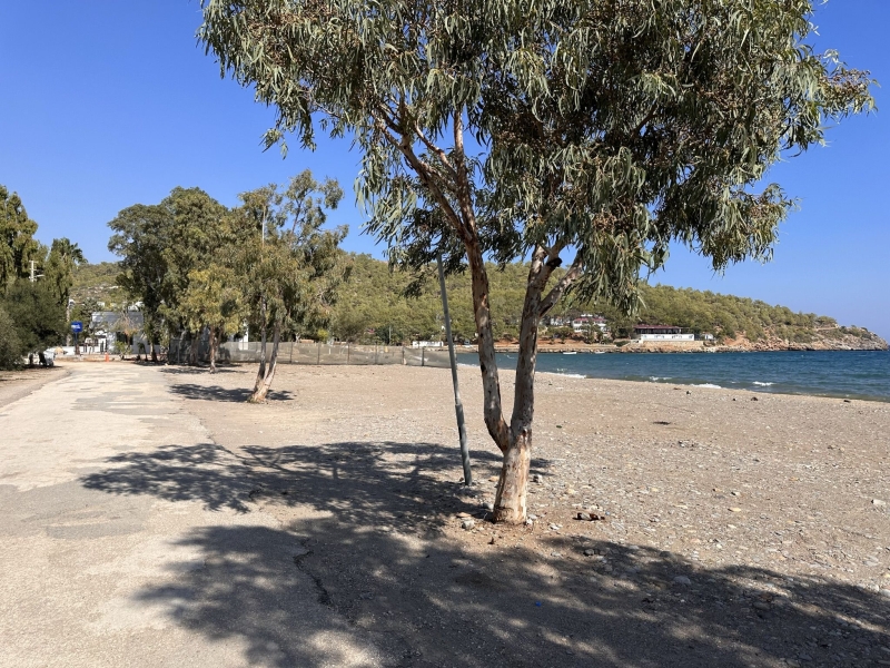 Пляж Бююкеджели (Büyükeceli) — пляж у АЭС Аккую, в районе Гюльнар