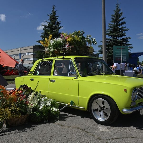100 столиц России. Где искать лучшие яблоки, валенки, подносы и закаты