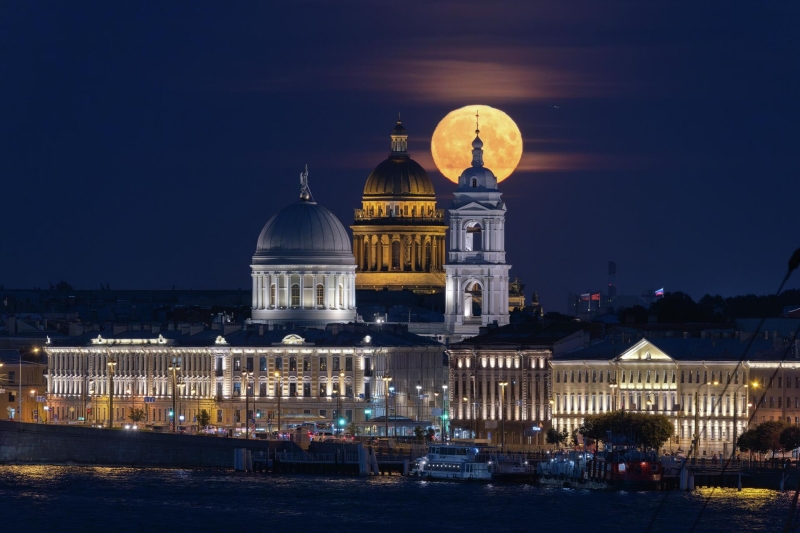 Лучшие из лучших: самые эффектные фото дикой природы России
