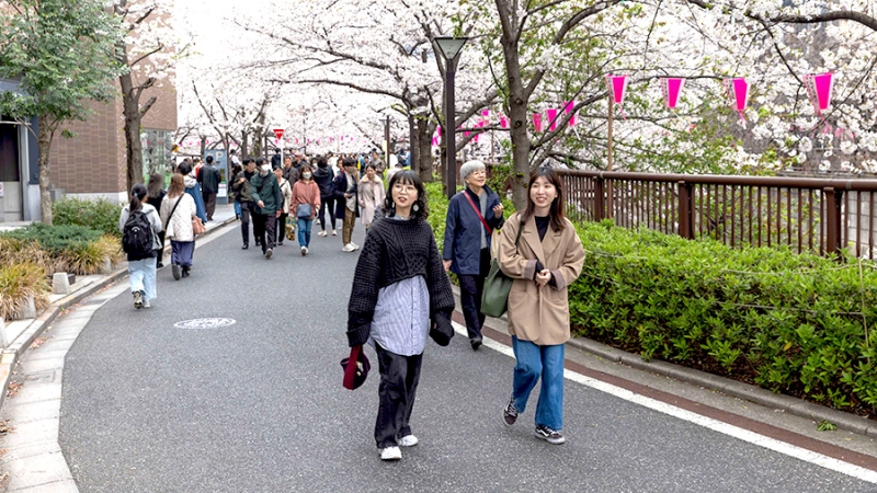 В АТОР объяснили массовые очереди в Москве за визой в Японию