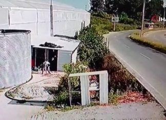 В Турции автобус с туристами попал в ДТП, пострадали 15 человек