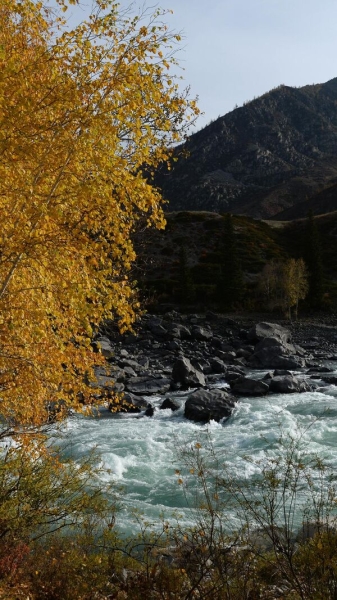 Золотая осень в России. Лучшие места для красивых и атмосферных фотографий