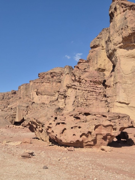 Достопримечательности Эйлата: где находится Эйлат, что посетить в эйлате, дельфиний риф Эйлат, можно ли купаться, фото