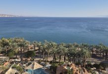 Достопримечательности Эйлата: где находится Эйлат, что посетить в эйлате, дельфиний риф Эйлат, можно ли купаться, фото